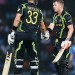 Shane Watson and David Warner almost completed a 10-wicket win