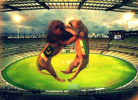 India vs Pakistan Live Cricket 2012-13