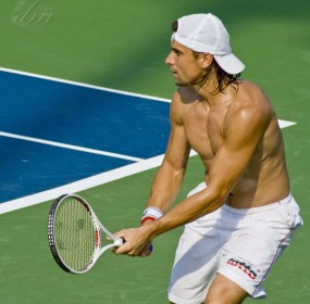 David Ferrer (7)