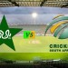 Pak Vs S Africa (2)