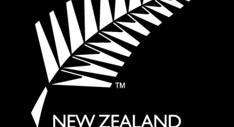 New Zealand Team learnt how to Batting on Asian Pitch