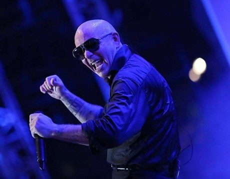 Pitbull