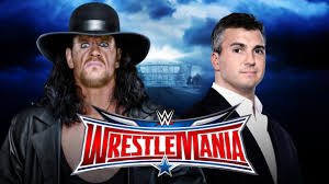 undertaker vs Shane McMahon