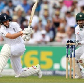 Cricket