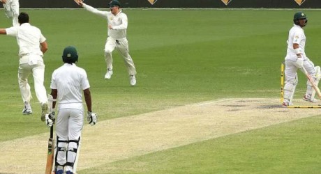 684969-pakaus-1482181344-947-640x480