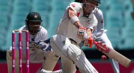 701757-davidwarnerweb-1483678952-208-640x480