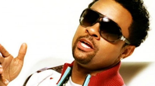 Opening Ceremony of PSL 2017