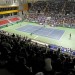 727658-Daviscupground-1486066126-560-640x480 727658-Daviscupground-1486066126-560-640x480