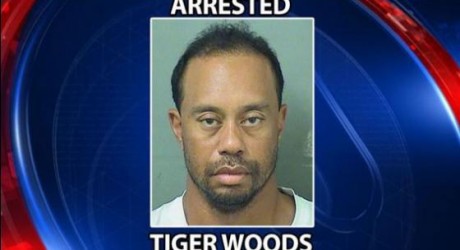 Police arrests and releases intoxicated Tiger Woods