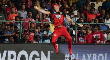 De villiers Spider Cath